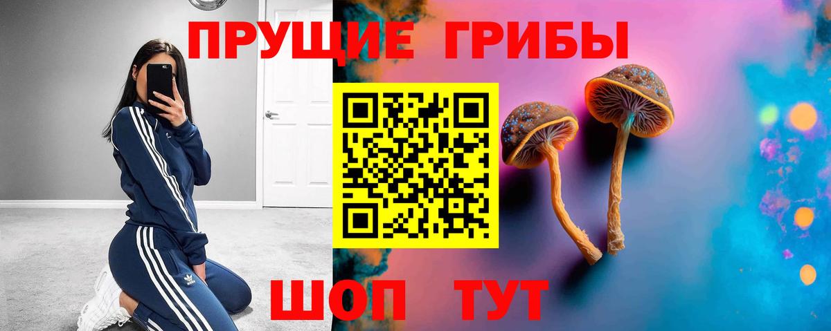 где найти наркотики  Вход с VPN  Прохладный  Псилоцибиновые грибы Psilocybe 